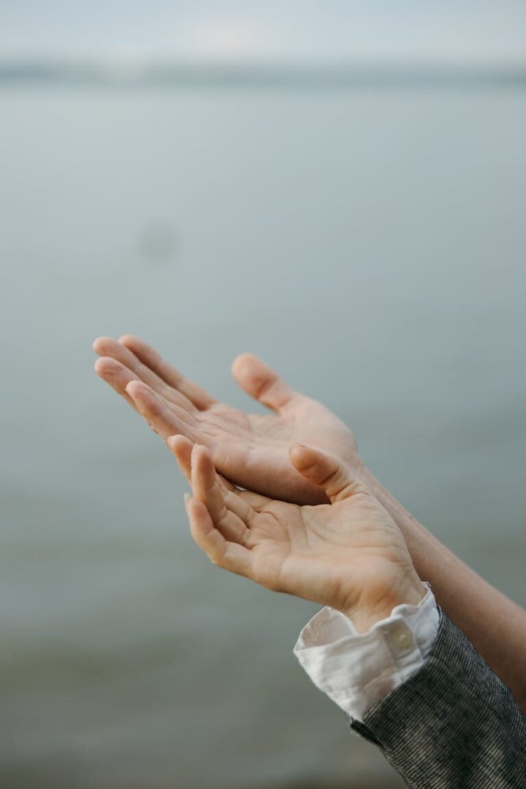 photo of people s open hands