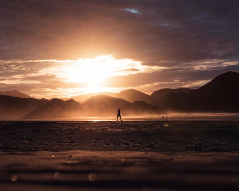 low angle photo of people walking on the seashore at dusk