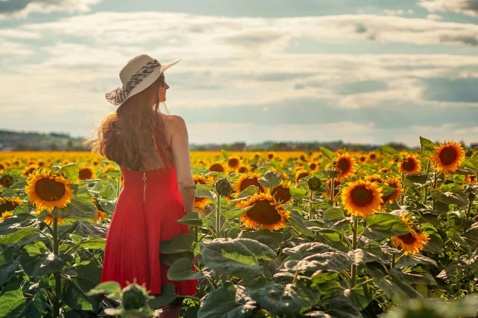 a woman in red dress standing on a sunflower field