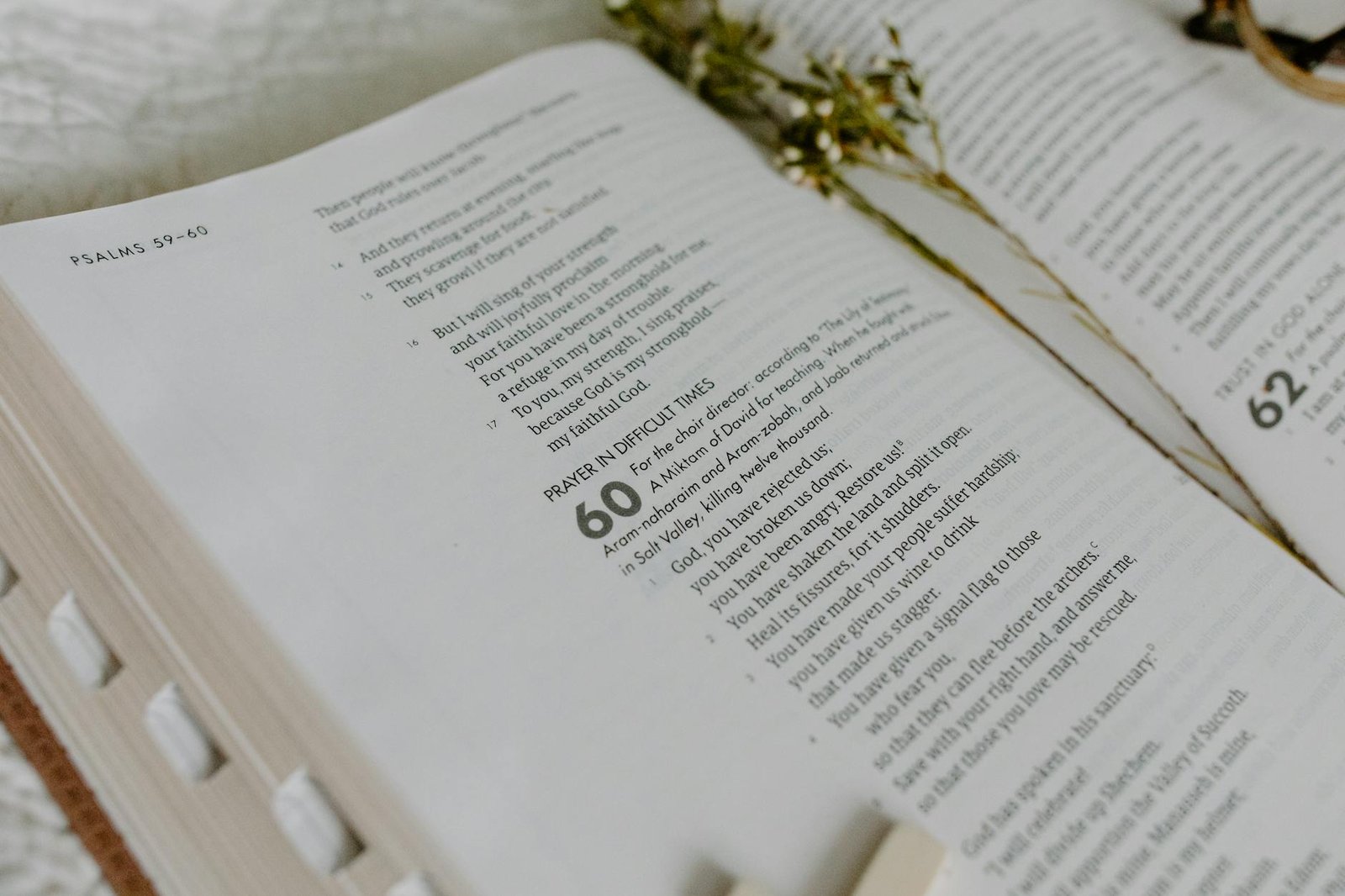 a page in the bible