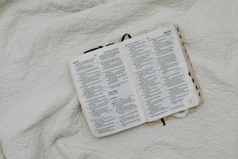 overhead shot of a bible