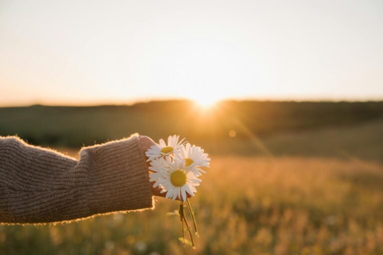 a person holding a bunch of daisies in the sun