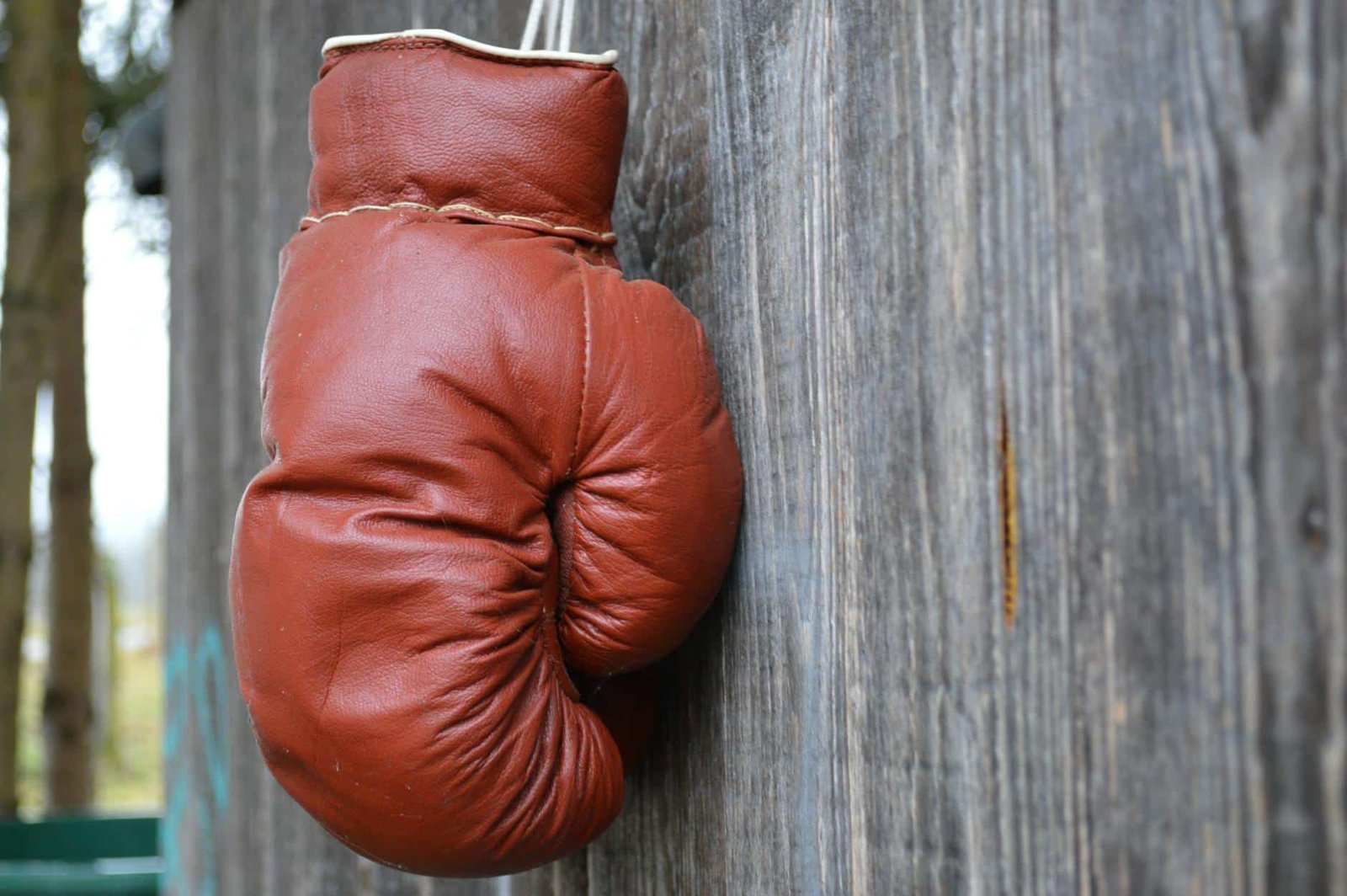 boxing glove in close up photography