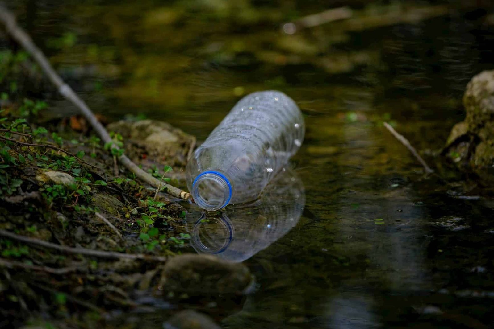 plastic bottle pollution in nature stream