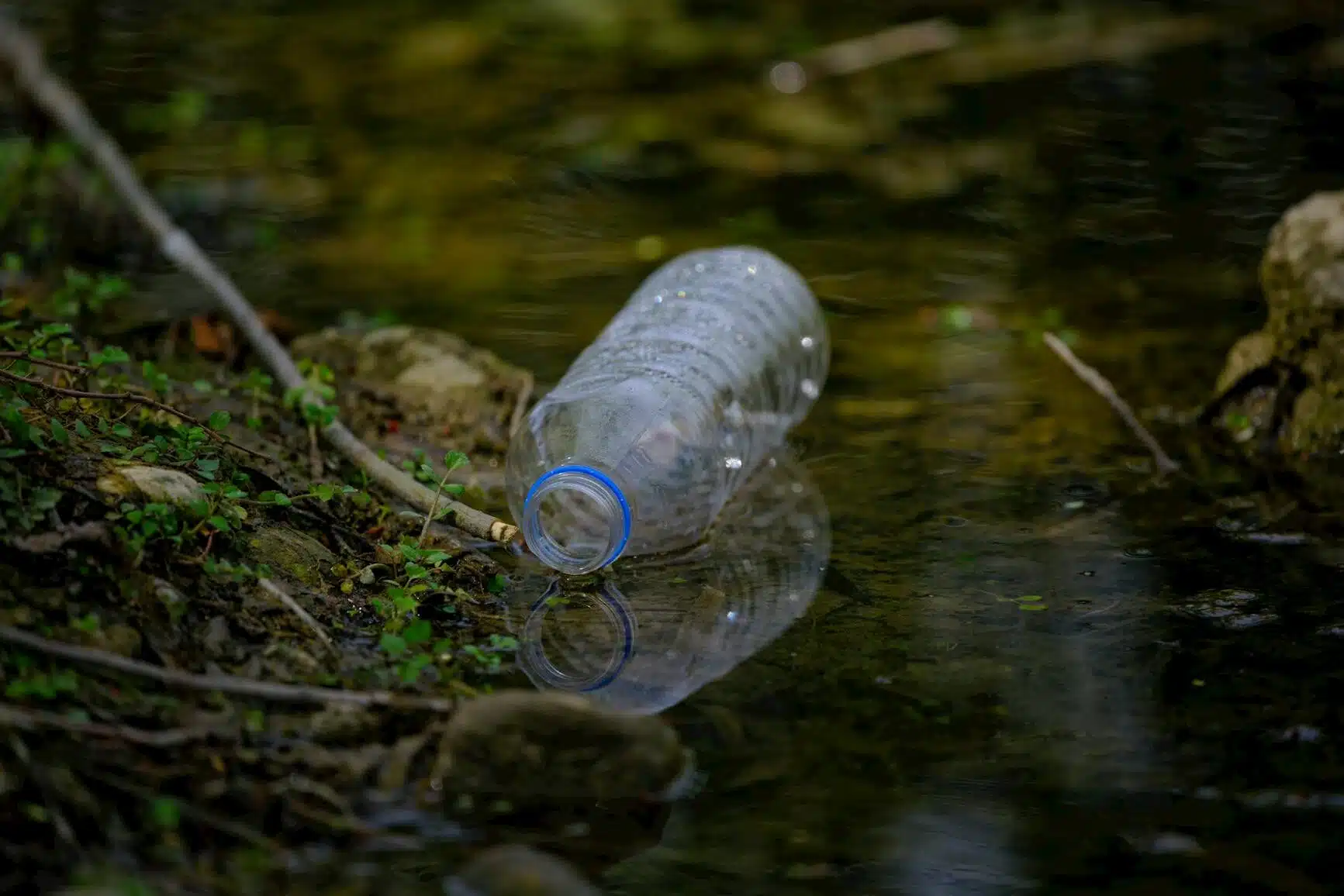 plastic bottle pollution in nature stream